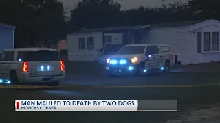 Man dies after dog attack in Berkeley County, sheriff says