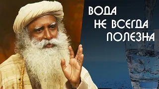 Польза и вред воды, как правильно пить воду - Садхгуру на Русском