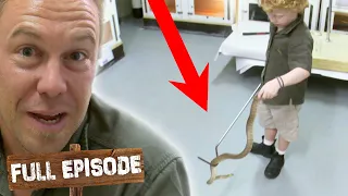 Little Boy Handles Dangerous Python 😱 The Wild Life Of Tim Faulkner S03E09 | Untamed