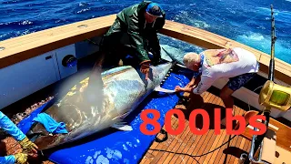 Tag a giant Bluefin Tuna!!!