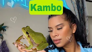 My Experience With Kambo (Monkey Frog )