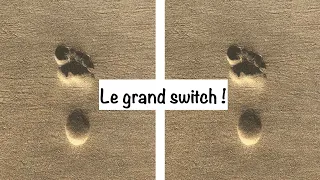 Flamme jumelle : Le grand switch