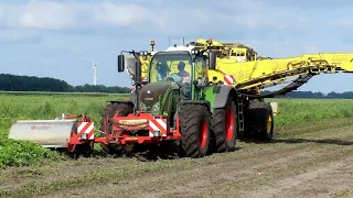 Aardappelen rooien met KEILER 2 WD  Ropa Landb. Buijs Emmer-Compascuum.