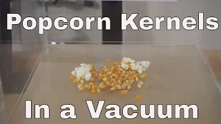 What Happens When You Put Popcorn Kernels in a Vacuum Chamber? Will They Pop?