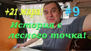 ✅ Лесной точек +21 ЖАРА пчела работает! История сегодняшнего дня! #ПЧЕЛОВОДСТВО9