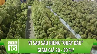 Vì sao sầu riêng "quay đầu" giảm giá 20 - 50%? | VTC16