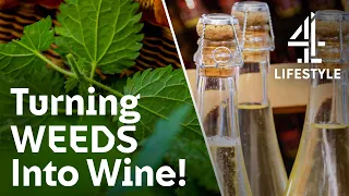 Making Nettle Wine Like Medieval Monks | Devon & Cornwall