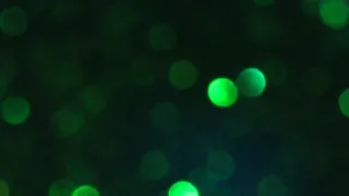 Green Bokeh/Glitter #2 [FREE FOOTAGE]