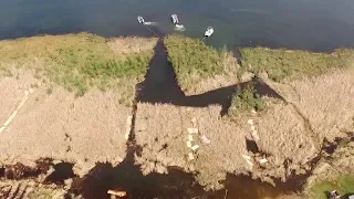 Floating Bog Continues To Put Up A Fight