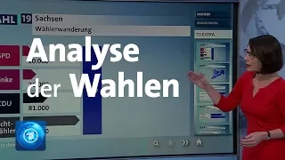 Sachsen: Woher kommen die AfD-Wähler?