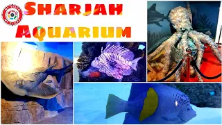 Sharjah Aquarium 2022 || Full Inside Tour || The Largest Aquarium in Sharjah, UAE || Under Water Zoo