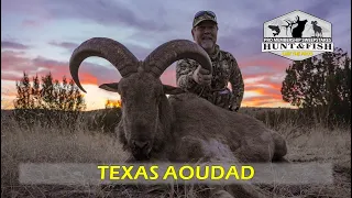 2022 Texas Aoudad with Steve Jones Backcountry Hunts