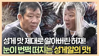 안정환X현주엽X허재 성게 맛 제대로 알아버린 허재! 우리 허재가 달라졌어요 | 안싸우면다행이야 | TVPP | MBC 210809 방송