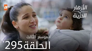 مسلسل الأزهار الحزينة | الحلقة 295 - الموسم الثالث