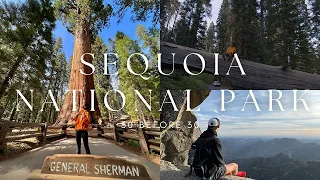 sequoia national park cinematic video | shot on blackmagic | 30 BEFORE 30