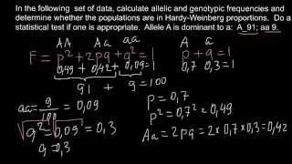 How to calculate allelic and genotypic frequencies