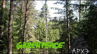 Онлайн-беседа "Что нам делать с нашими лесами" в рамках проекта "Лесной вопрос"