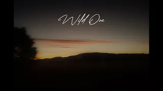 Zach Bryan - Wild One (Lyrics)