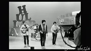 Beau Brummels - Laugh, Laugh (1965)