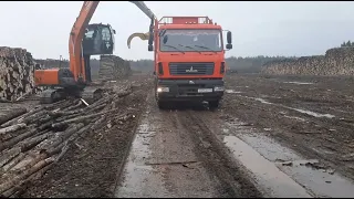 Сколько зарабатывают на лесовозе. День ШОФЁРА празднуем за рулём!