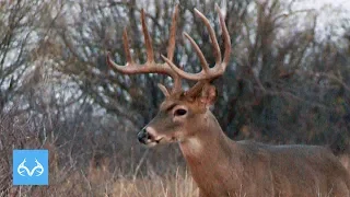 158" Texas 10 Point | Bill Jordan Bow Hunts | Monster Bucks Monday