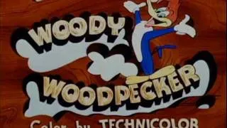 Woody the Woodpecker Theme Song