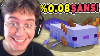 %0.08 Şansla Nadir Aksolotl Yakalama Anı | Hardcore Minecraft 2