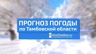 Прогноз погоды в Тамбове и Тамбовской области на 2 декабря 2023 года