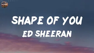 Ed Sheeran - Shape of You (Lyrics) || David Kushner, Adele,... (MIX LYRICS)