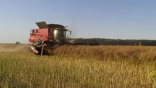 Case IH Axial-Flow 8250 и жатка MacDon  - это успех!