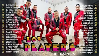 Los Players de Tuzantla Mix Éxitos 2024 🍻 40 Éxitos De Colección 🎵 Puro Tierra Caliente Mix 2024