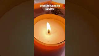 Miniso Scented Candles