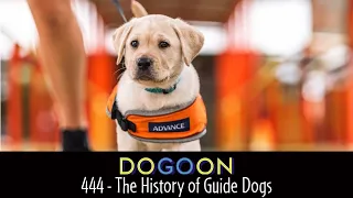 444 - The History of Guide Dogs