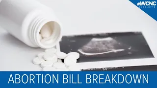 Breaking down the 12-week abortion bill's exceptions