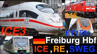 ICE, RE, RB, SWEG running in Freiburg hbf