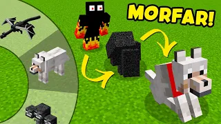 Como se TRANSFORMAR EM QUALQUER MOB com MORPH no MINECRAFT