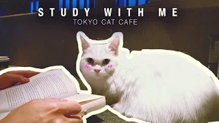 🐈 STUDY WITH ME at a Cat Cafe in Tokyo, Japan | Pomodoro Timer 25 / 5 | Soft & Relaxing Piano