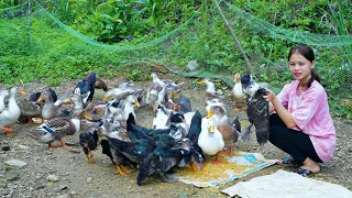 watering vegetables, raising ducks, hatching ducklings, cooking - 200 days living in the forest