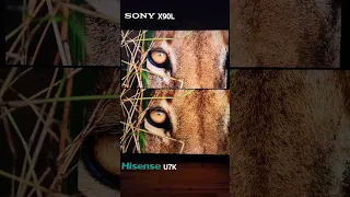 Sony X90L vs Hisense U7K Full Array vs Mini Led #SONYX90L #HISENSEU7K #BESTTV