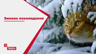 Зимове похолодання: чи варто українцям готувати теплі рукавиці та шапки