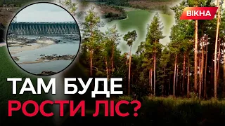 ЗЕМЛІ КАХОВСЬКОЇ ГЕС почали "ОЖИВАТИ"! Екологи ЗАЯВИЛИ про нову...