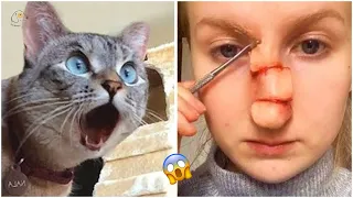 SO FUNNY😂😂 Super Dogs And Cats Reaction Videos ▶️2