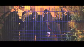 Shortz Ft. Panda (London Fields - Hackney) - Back Blocks | @PacmanTV @NashROS