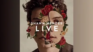 Shawn Mendes - Lost In Japan (LIVE IN LA)
