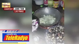 ALAMIN: Recipe ng Ginataang Kuhol with Paco | Lingkod Kapamilya (22 Feb 2023)