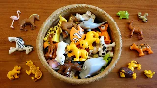 LEGO DUPLO ANIMAL COLLECTION / FARM ANIMALS E WILD ANIMALS / @legolaenglish