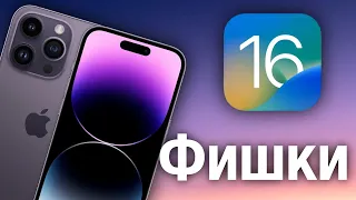 Фишки iOS 16 которые упростят вам жизнь)