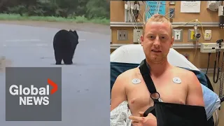 Cyclist seriously injured after colliding with bear: "It all happened so fast"