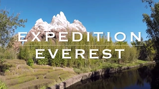 Expedition Everest Ride POV Front Row - Disney's Animal Kingdom Park - Cheetah on the Loose!