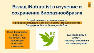 Грибы на iNaturalist: как волонтёры помогают микологам. Нина Филиппова